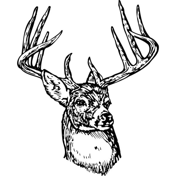 DEER006 Thumbnail